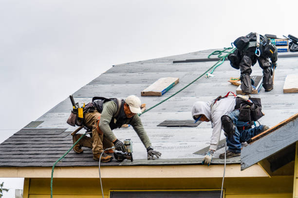 Professional Gutter Installation technician working in Evans, CO