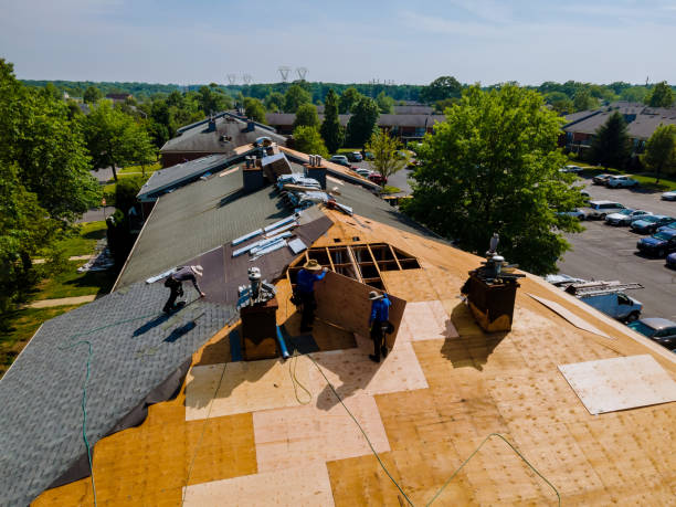 Trusted Metal Roofing service in Evans, CO - Brentwood Metal Roofing